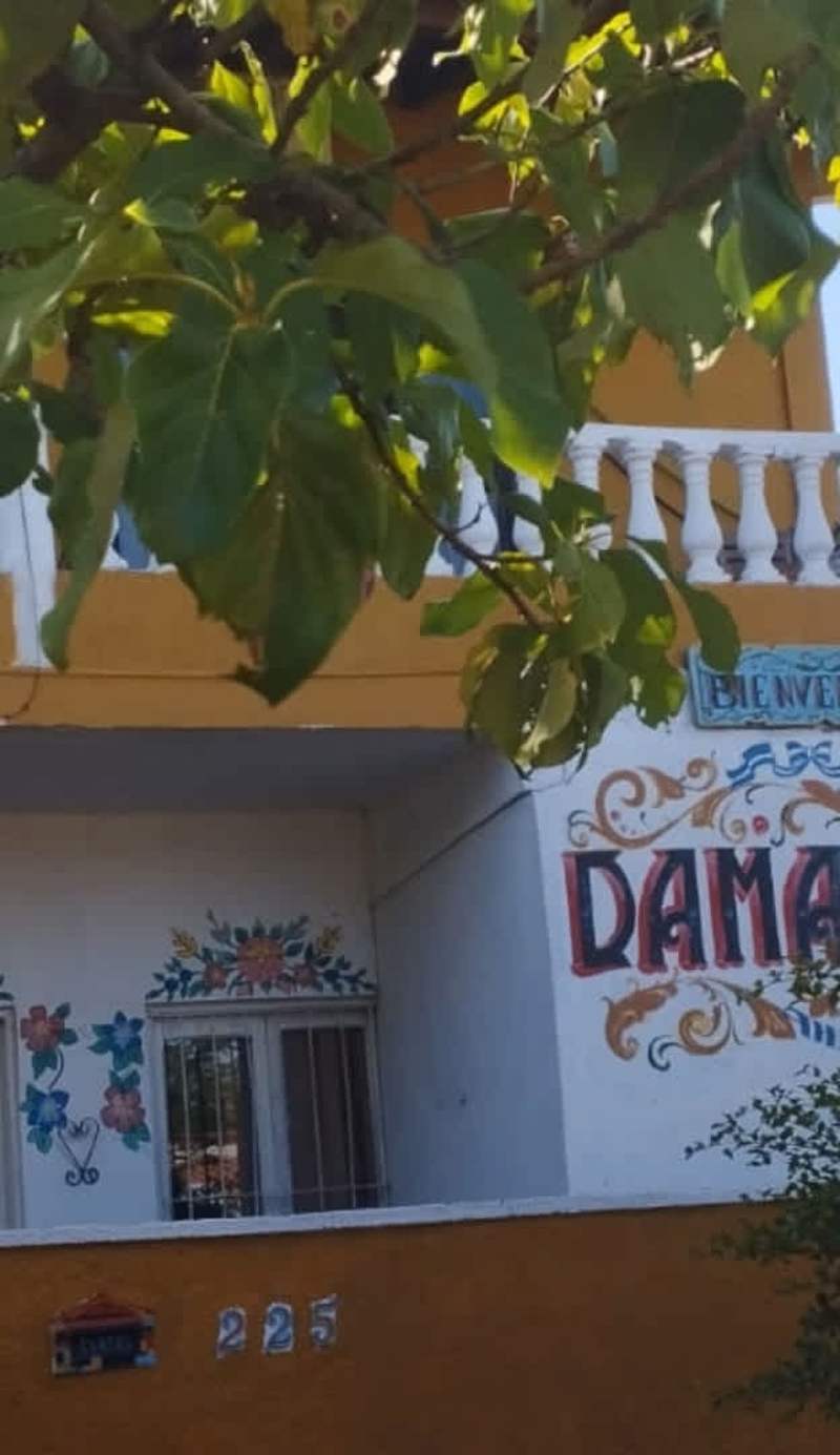 Hostel Damaris