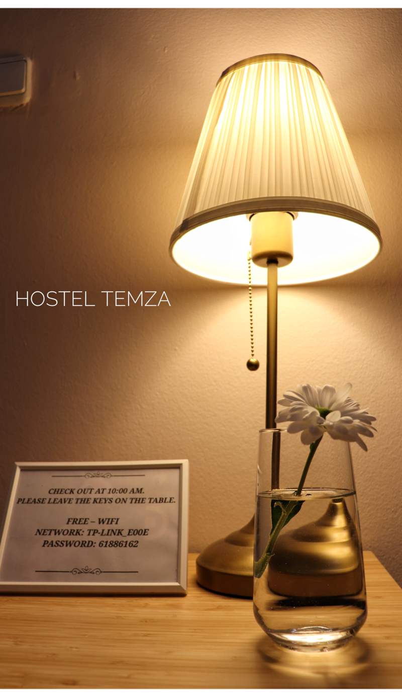 Hostel Temza
