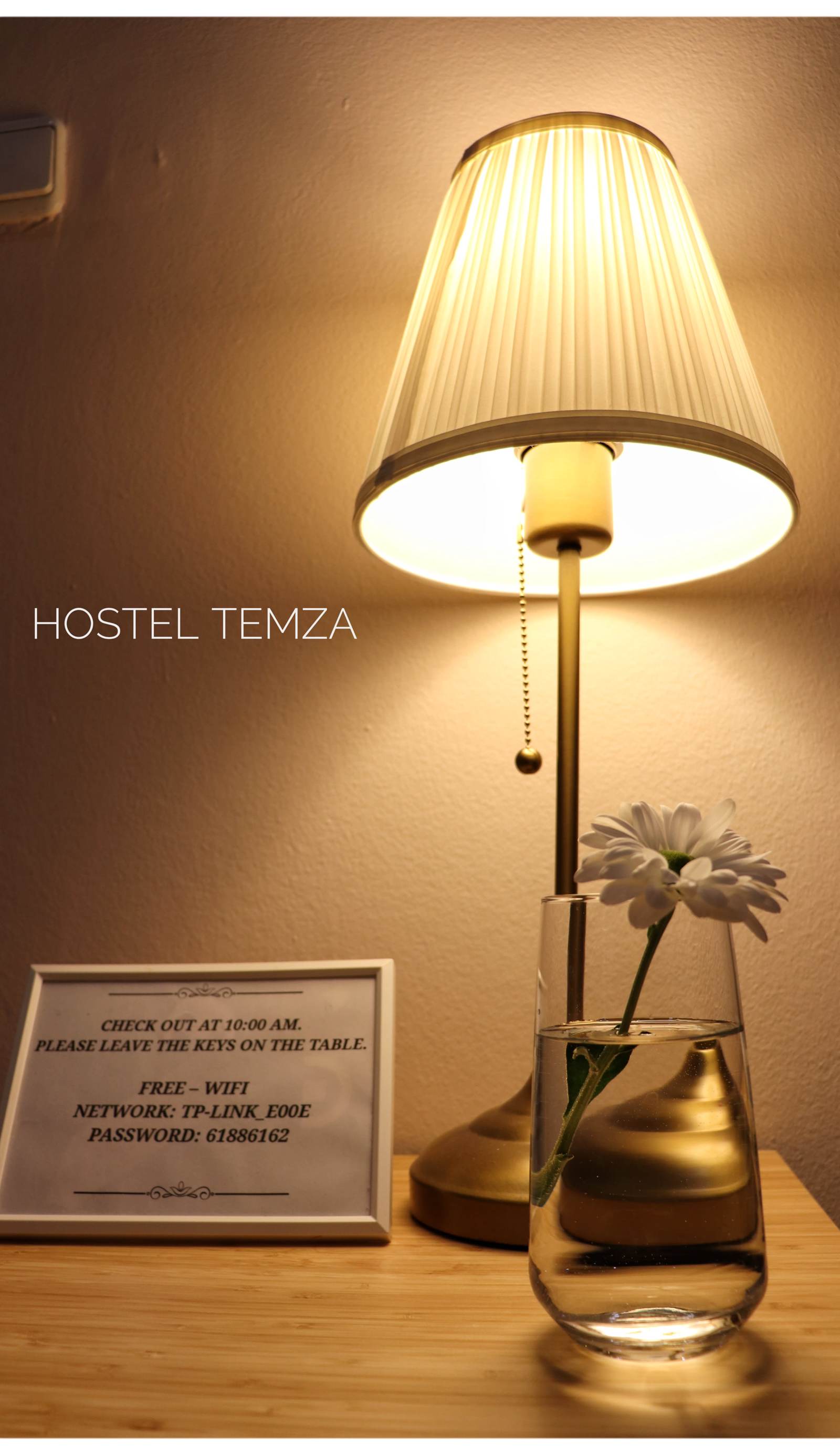 Hostel Temza