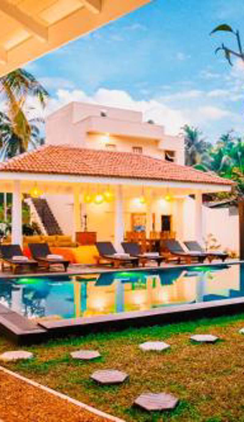 Tree of Life Resort