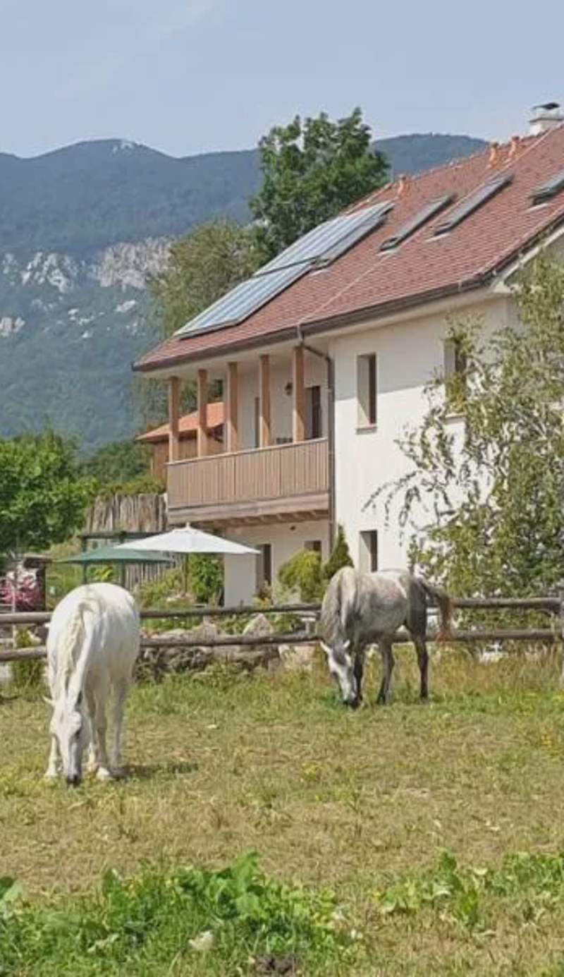 Lipizzaner Lodge Guest House