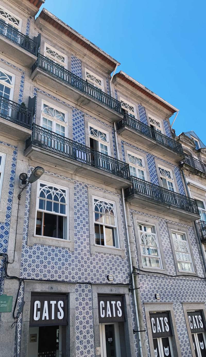 Cats Hostel Porto