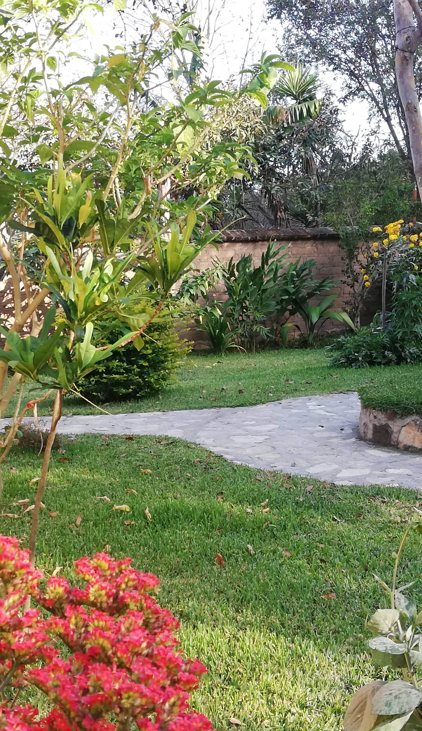 Ecolodge Guancascos