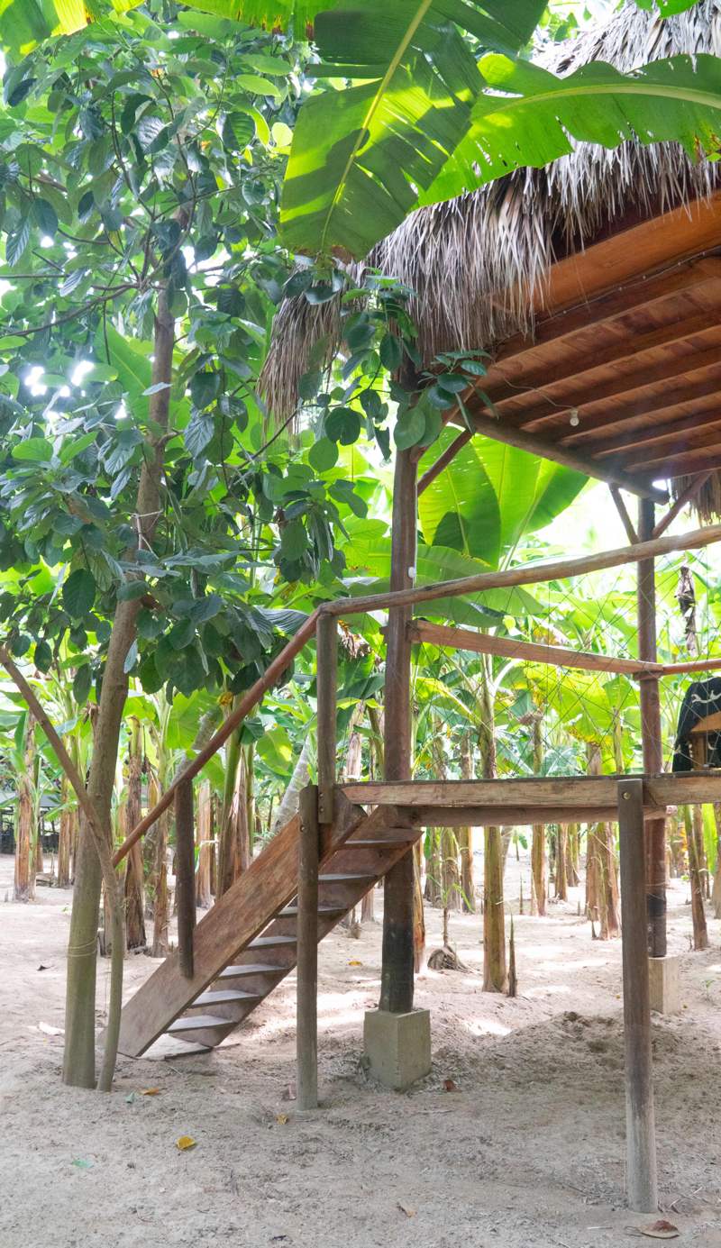 La Playita