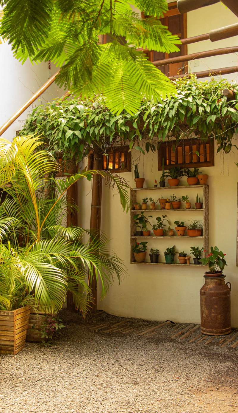 Hostel Casa de Paixão