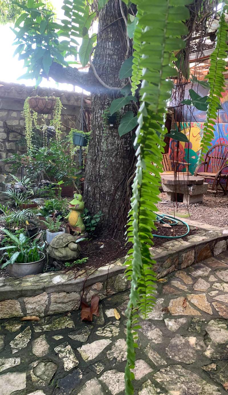 Stella Hostal Copan