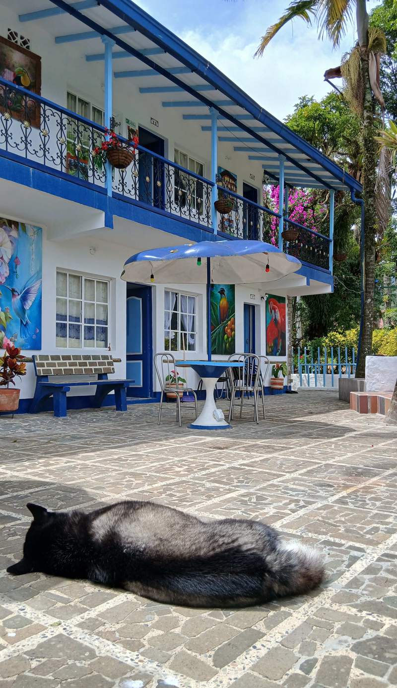 Vista farallones hostel