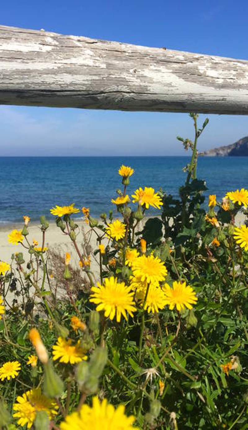 Harbour View Ischia