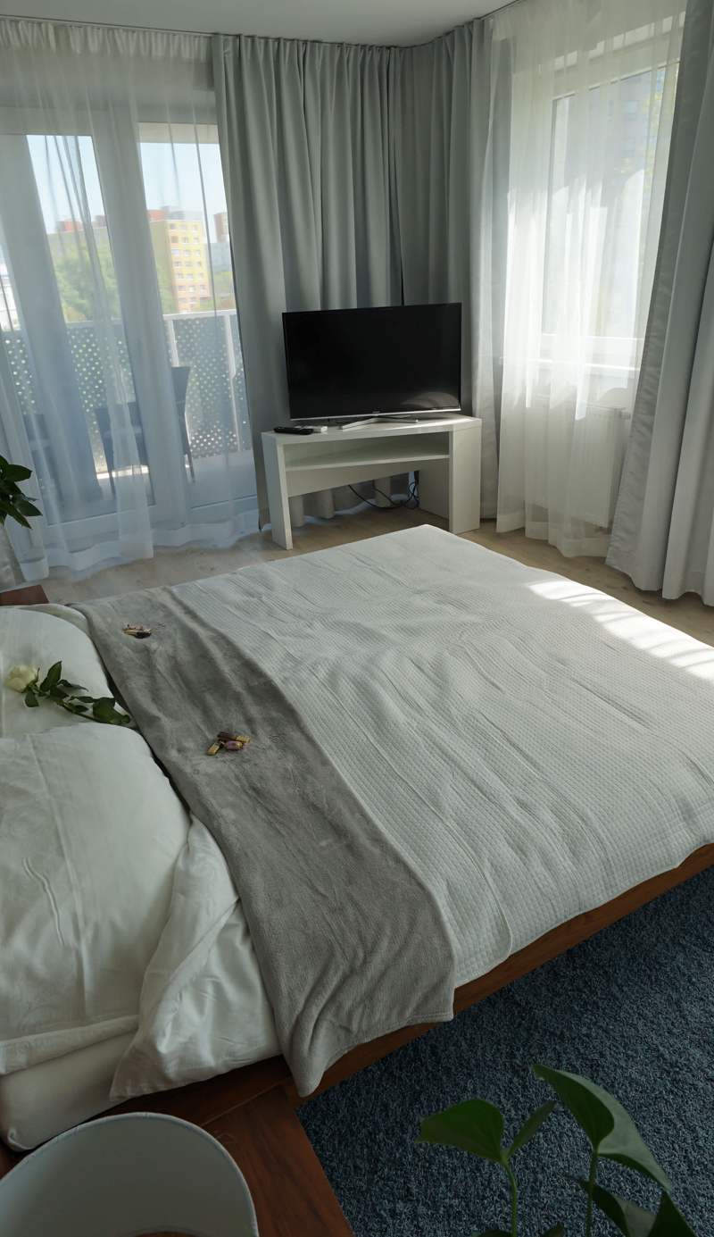 More Than Hotel & Accommodation