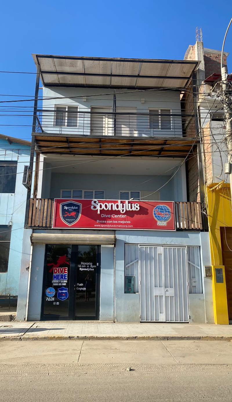 Spondylus Home