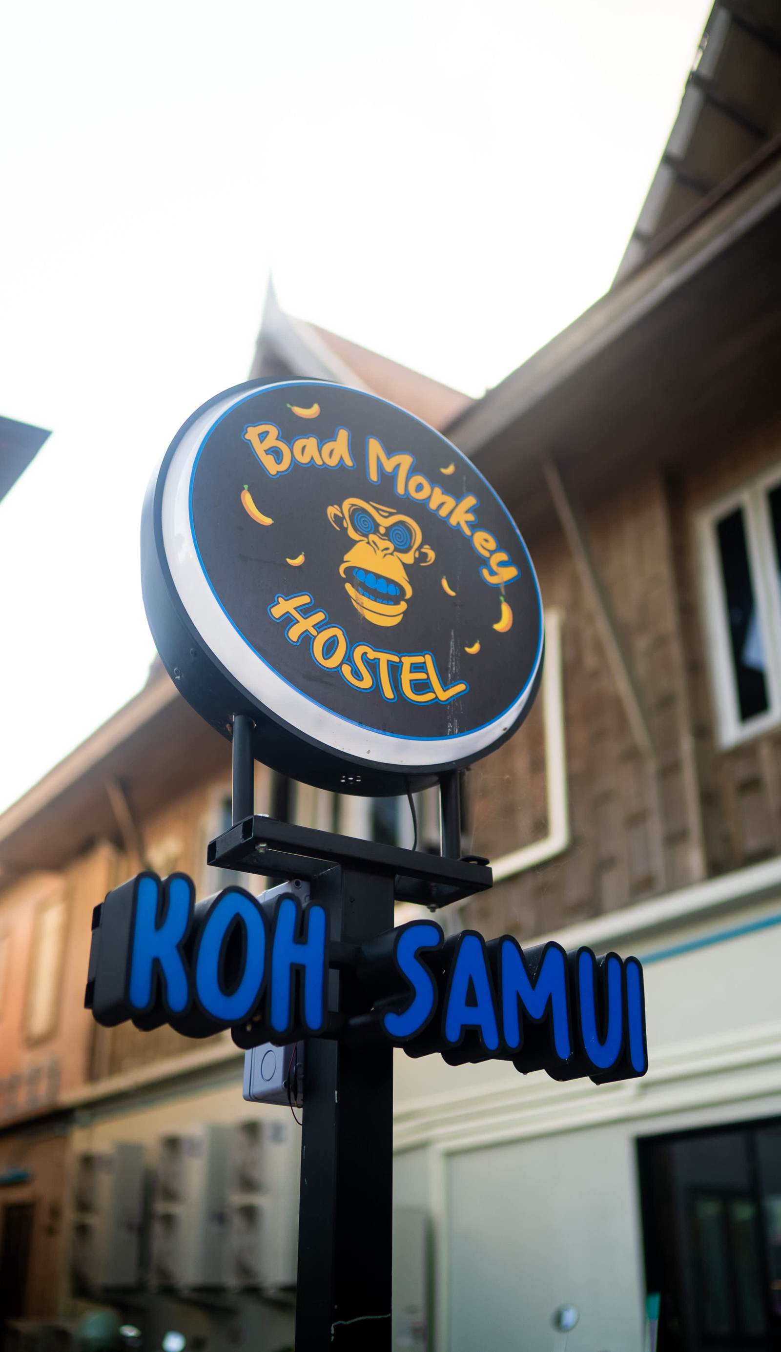 Bad Monkey Samui Hostel