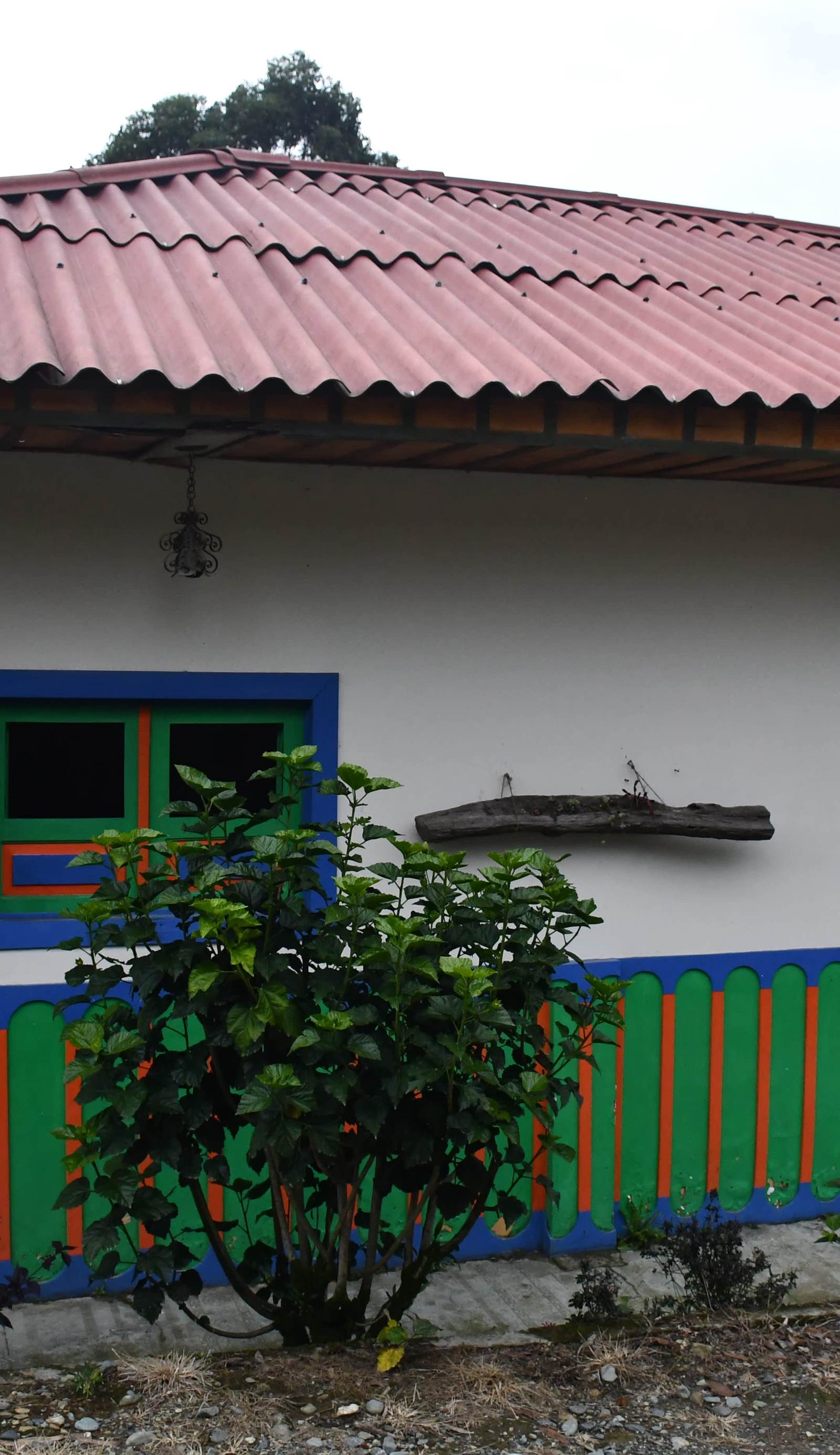 La Cigarra Casa de Huespedes