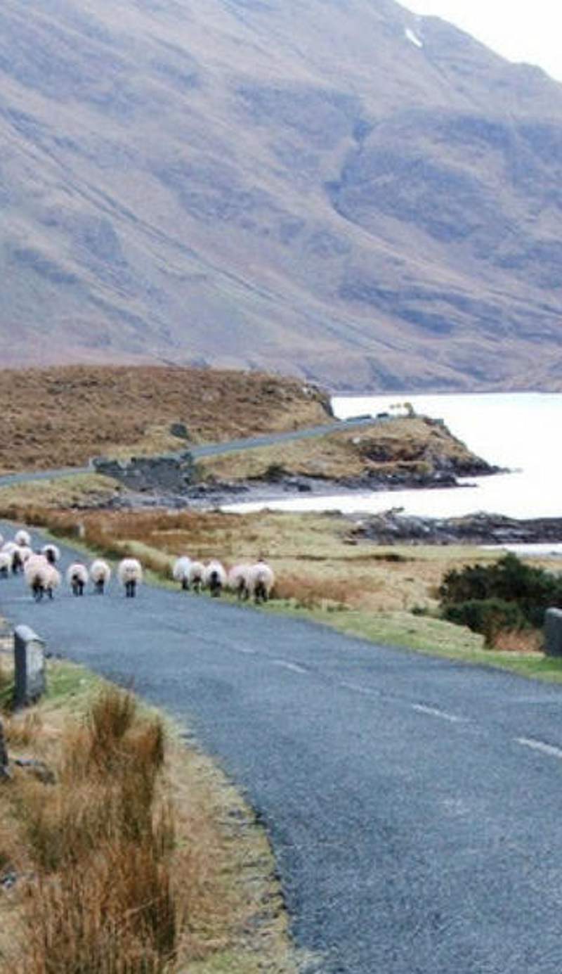 Wild Atlantic Hostel
