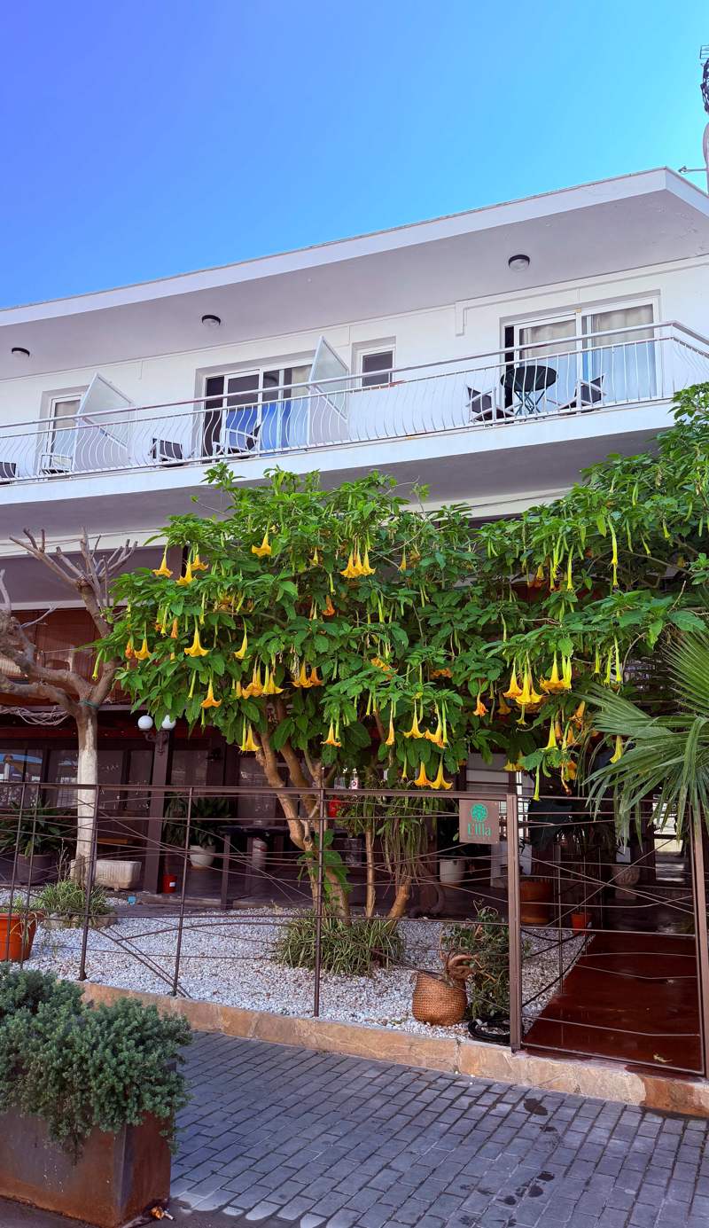 L'illa Hotel