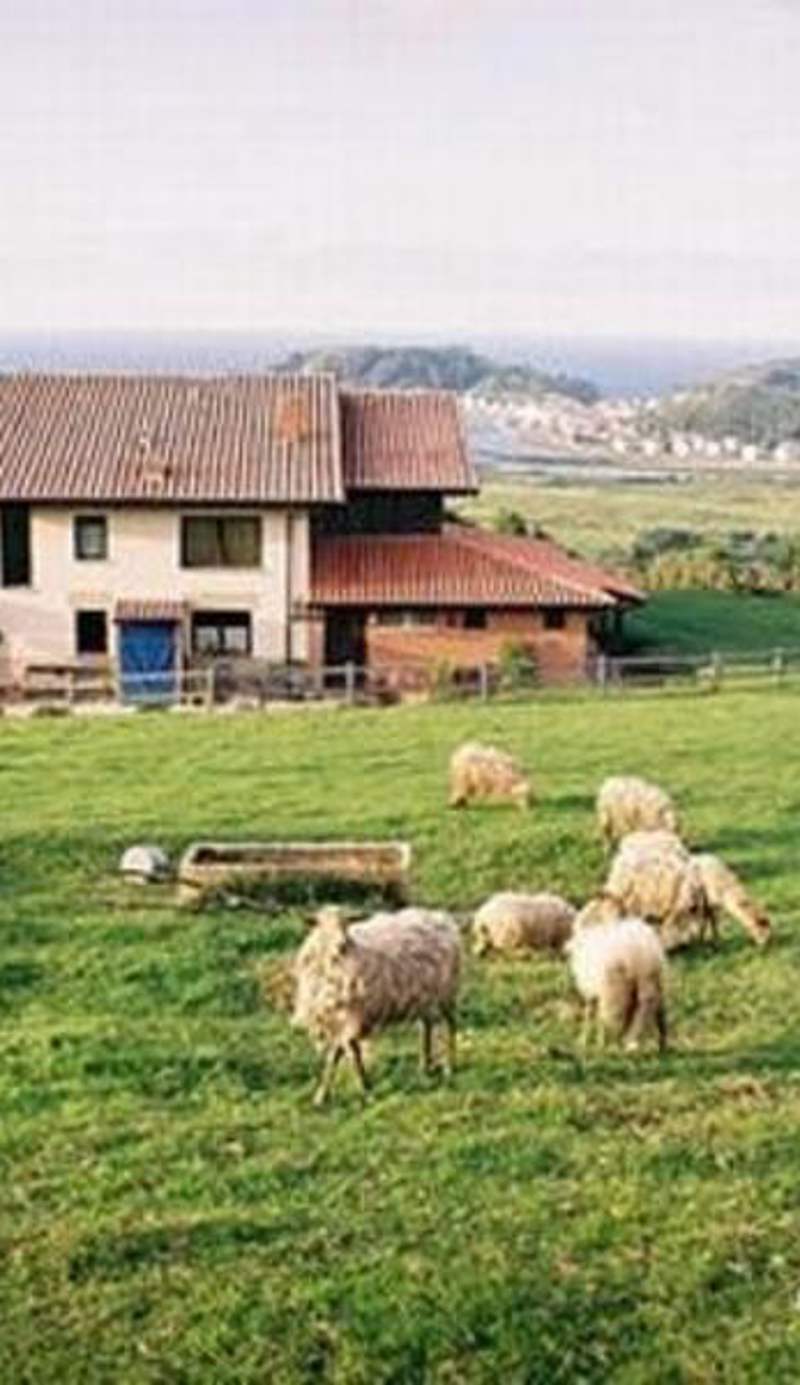 Hotel Rural Paraje del Asturcon