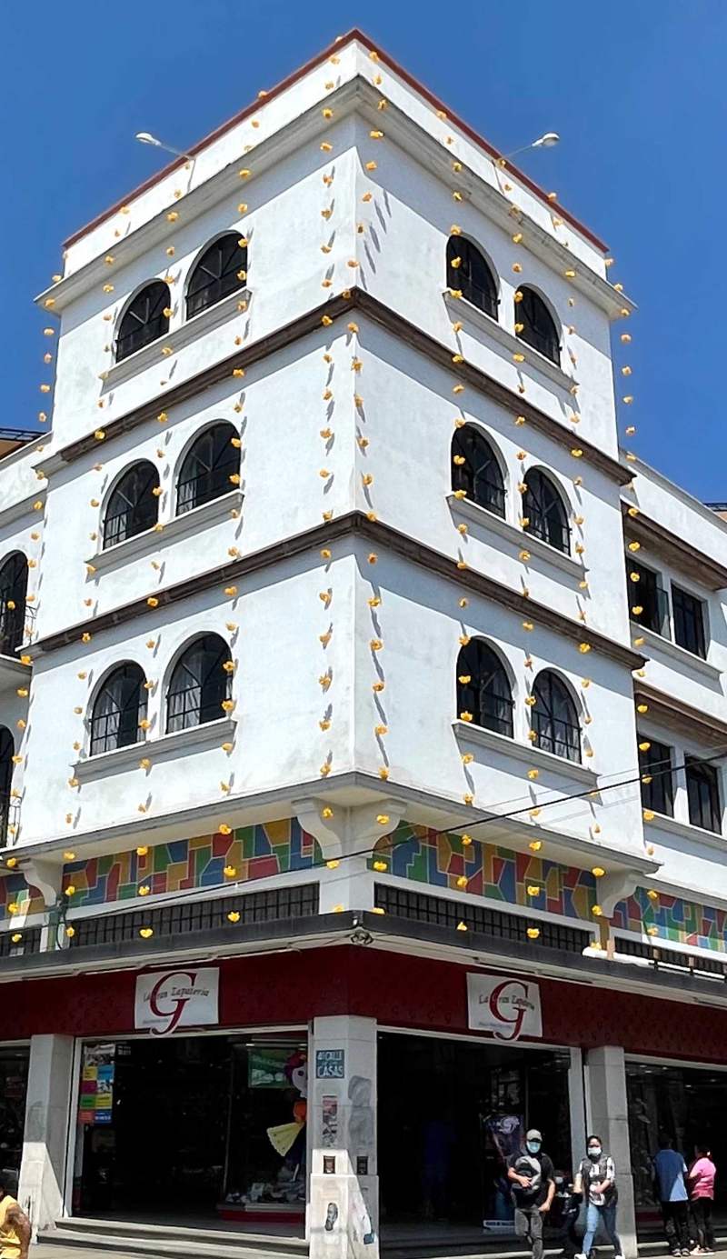 Andaina Hostel