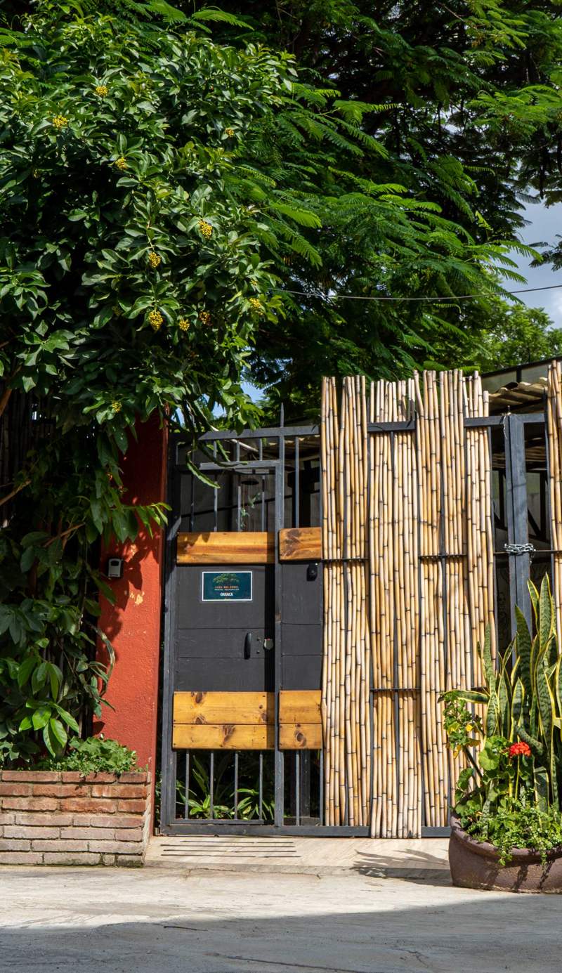 Casa del Árbol Hostel Xochimilco