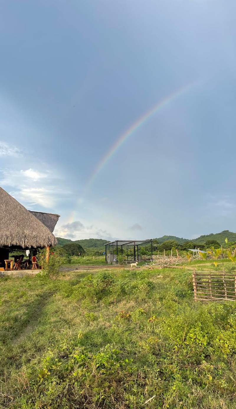 Finca Buena Vida