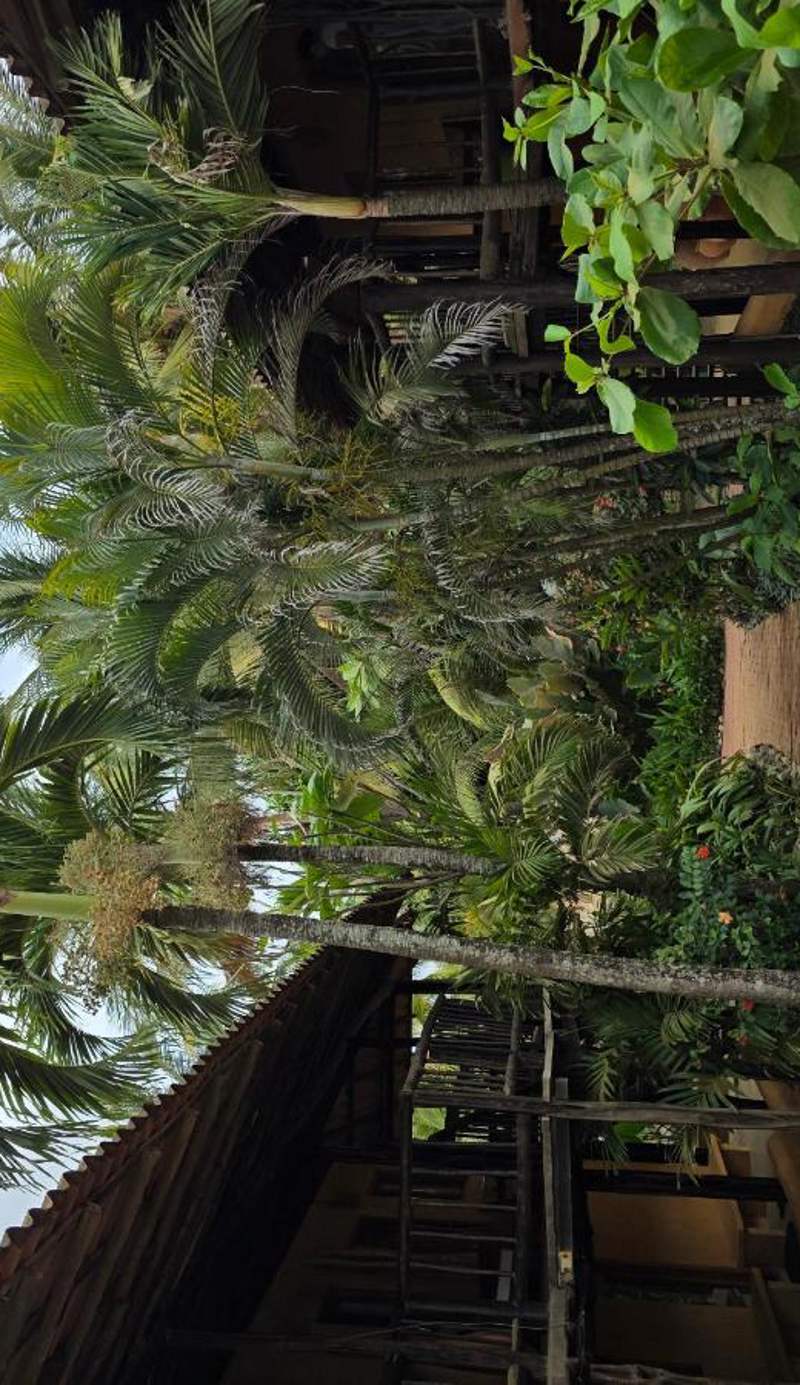 El Sitio de Playa Venao