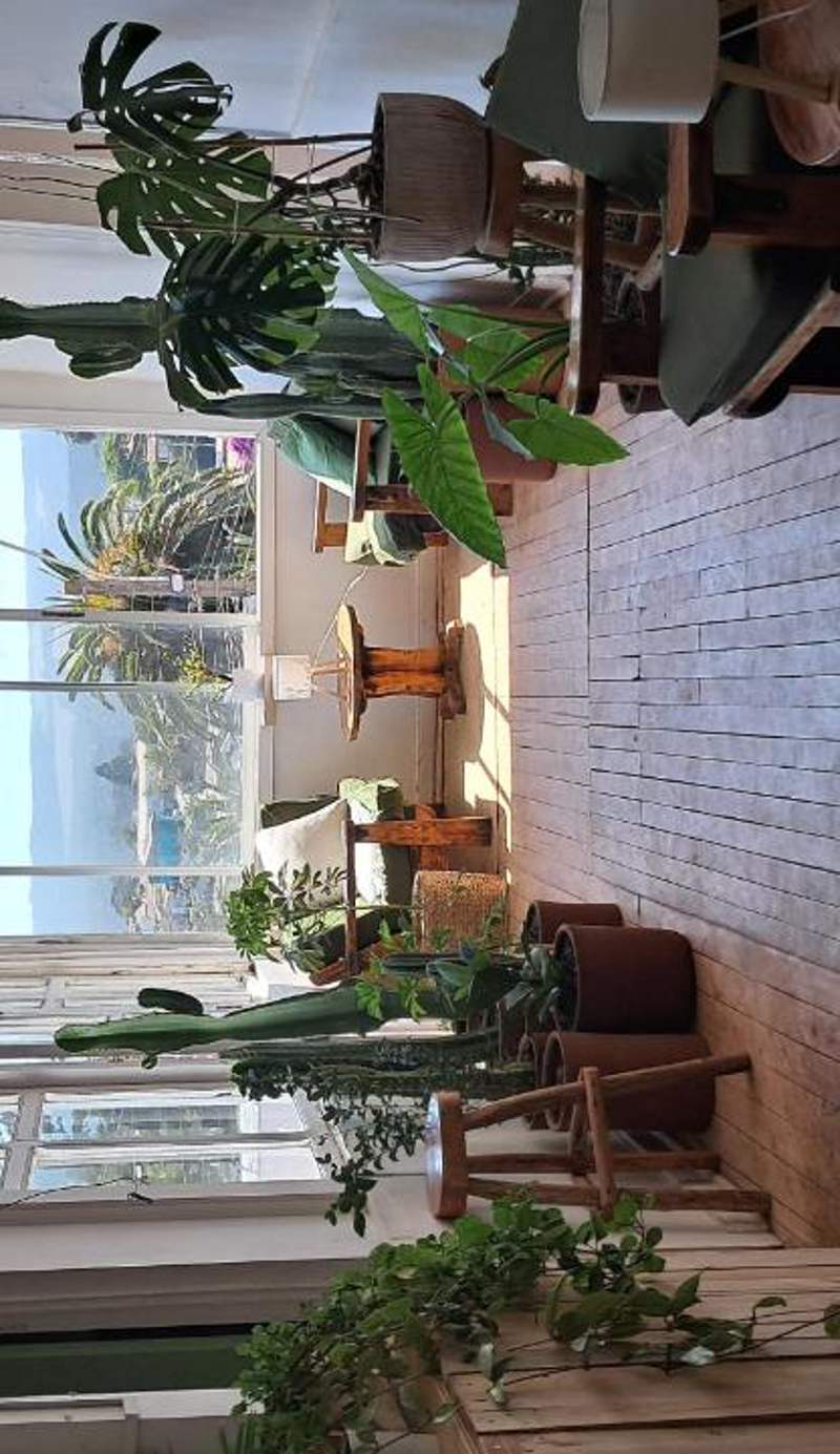 Silvestre Hostel
