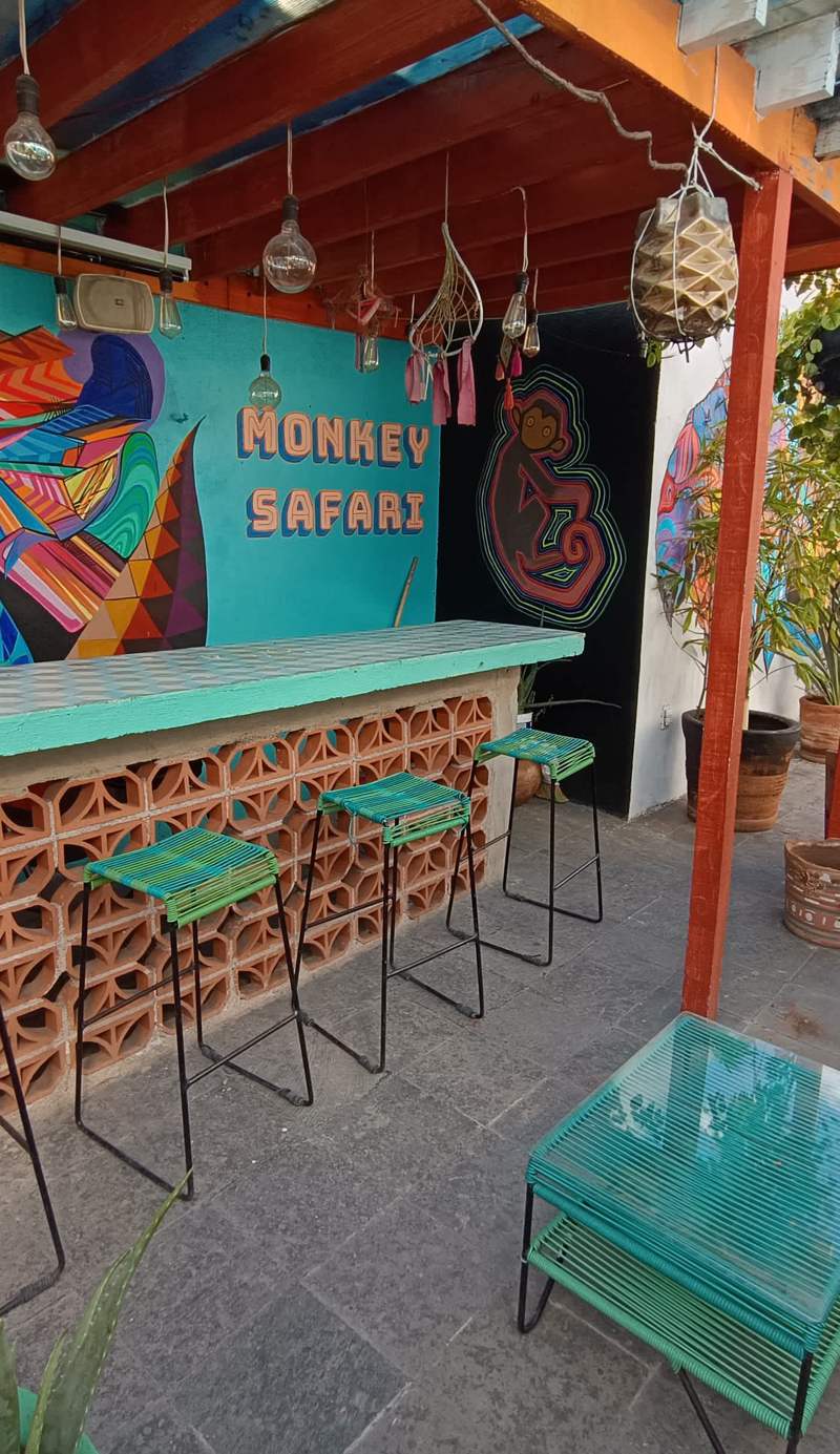 Monkey Safari Hostel