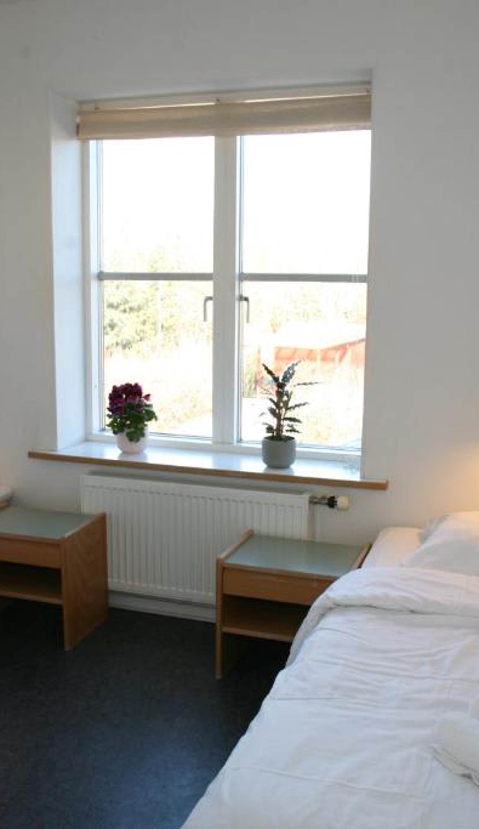 Nexo Hostel