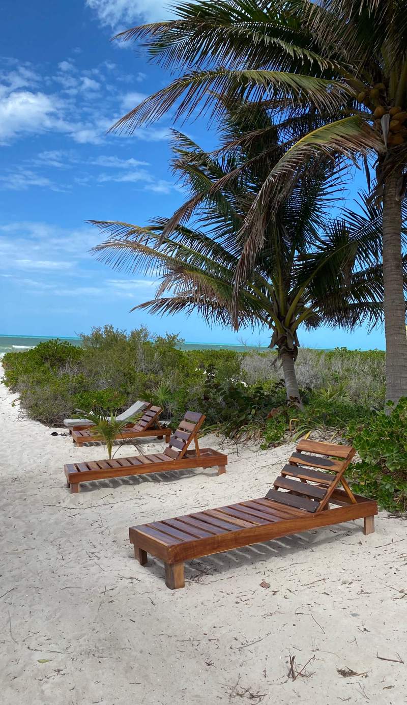 Frequency Hostel Beachfront