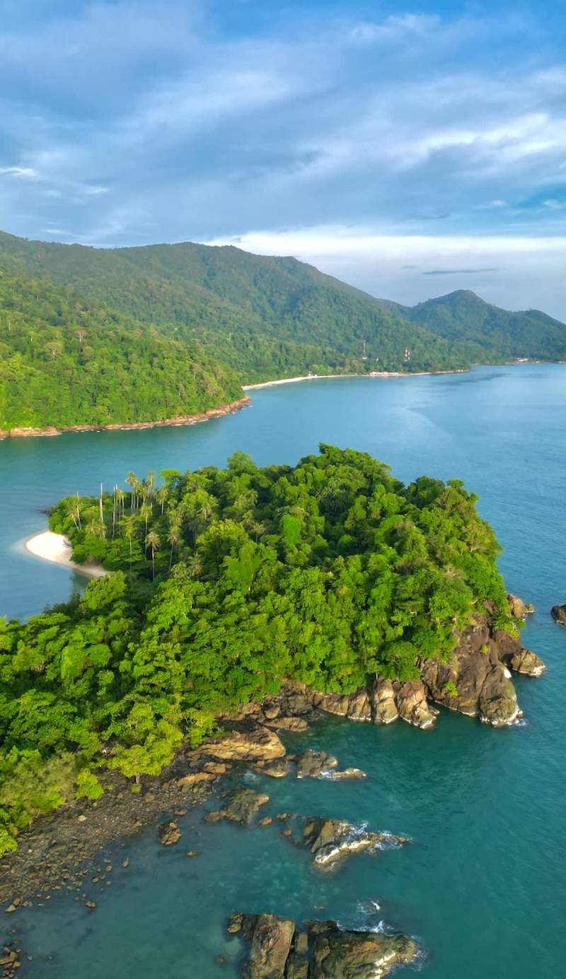 Beach Jungle Hostel
