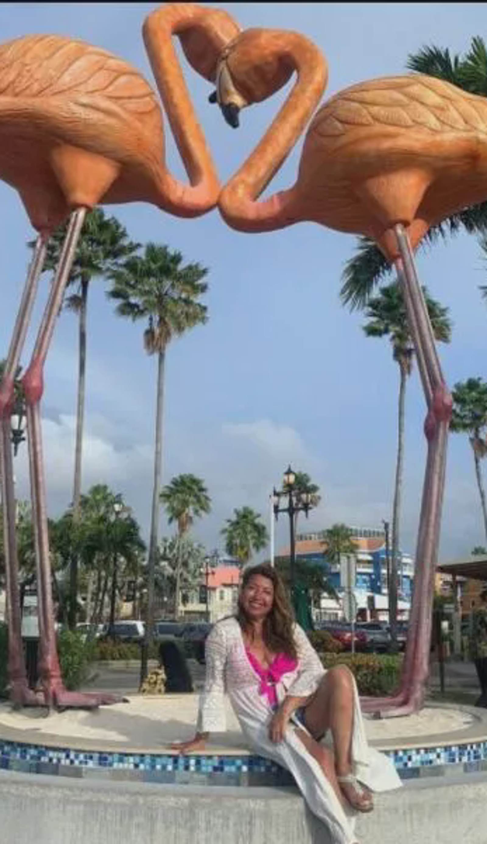 Aruba Harmony