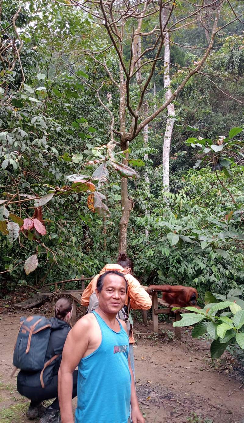 Orangutan Inn