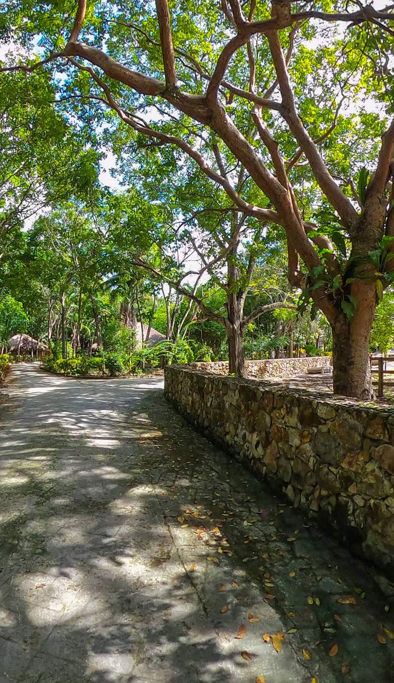 The Mayan Garden