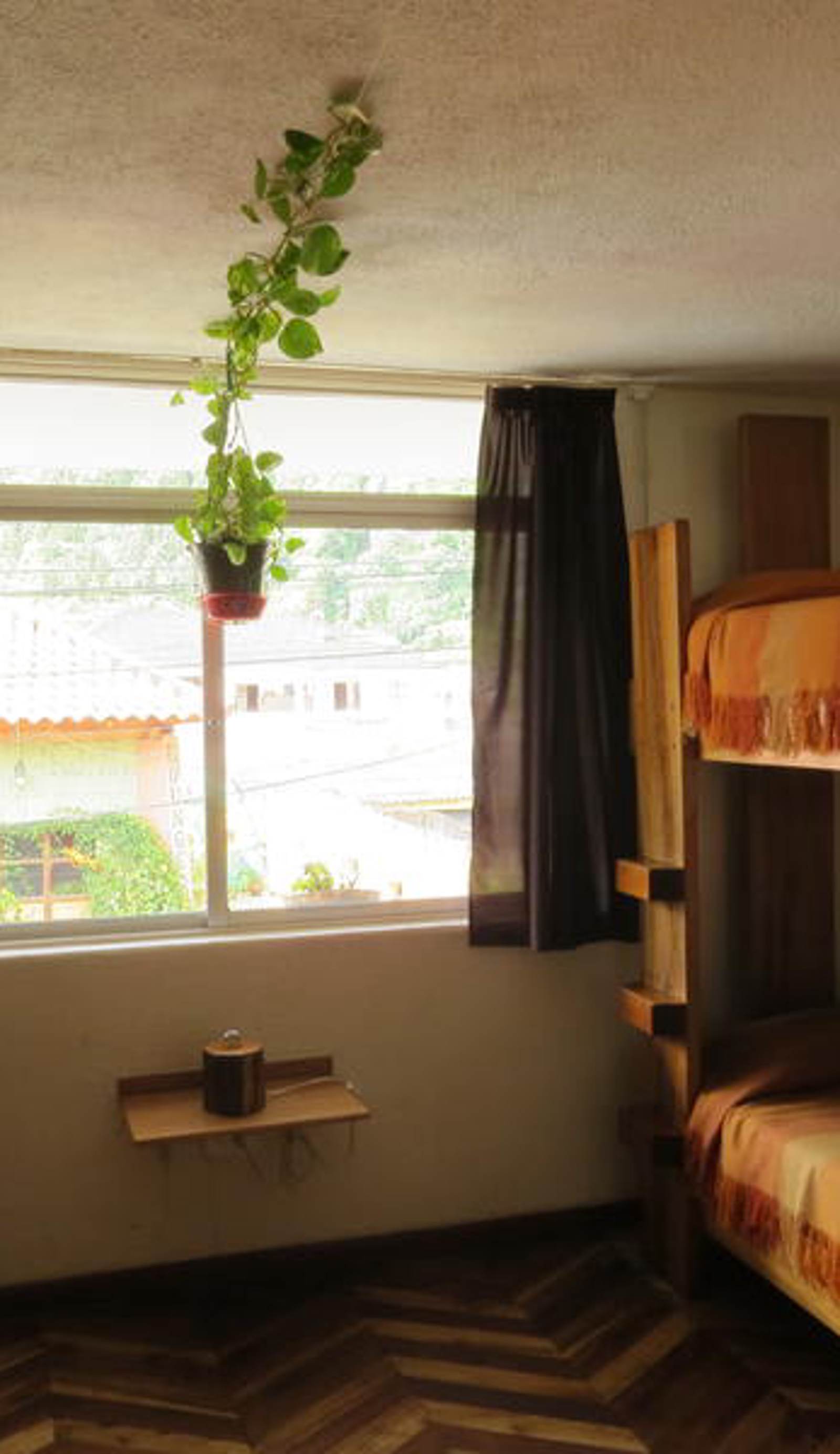 Plantas y Blanco Hostel Banos Ecuador