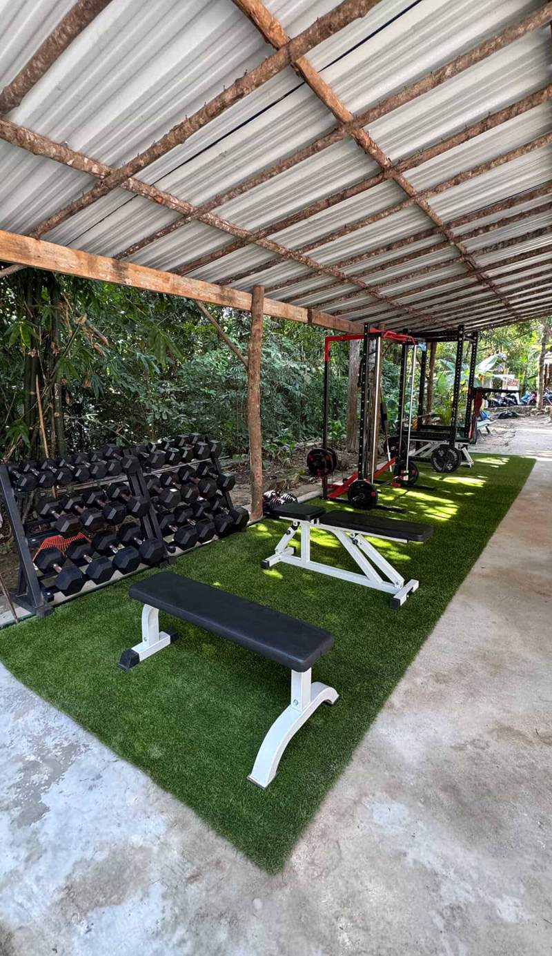 Nest Jungle