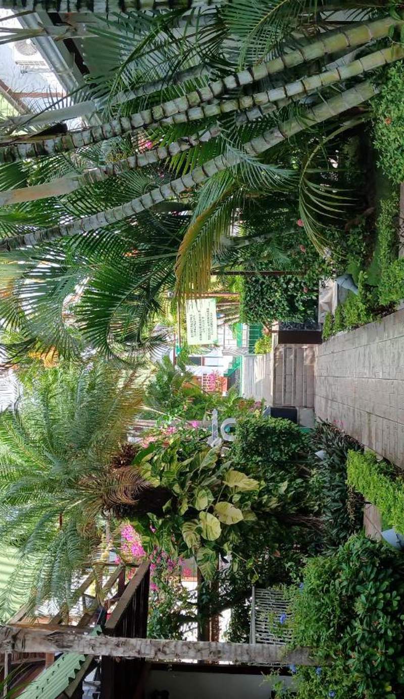 Hotel Balandra