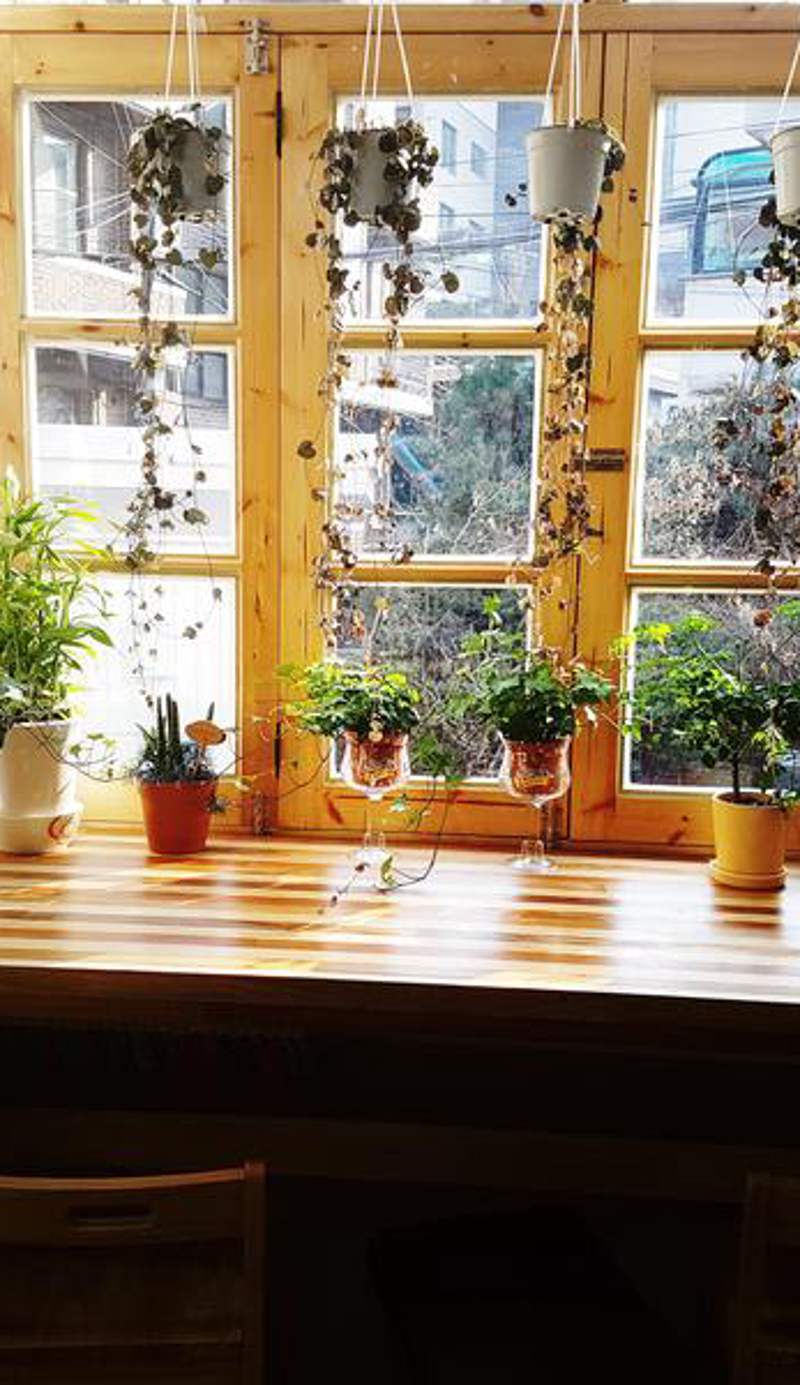Time Travelers Relax Guesthouse Seoul