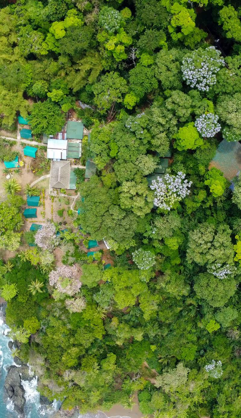 Corcovado Jungle Hostel