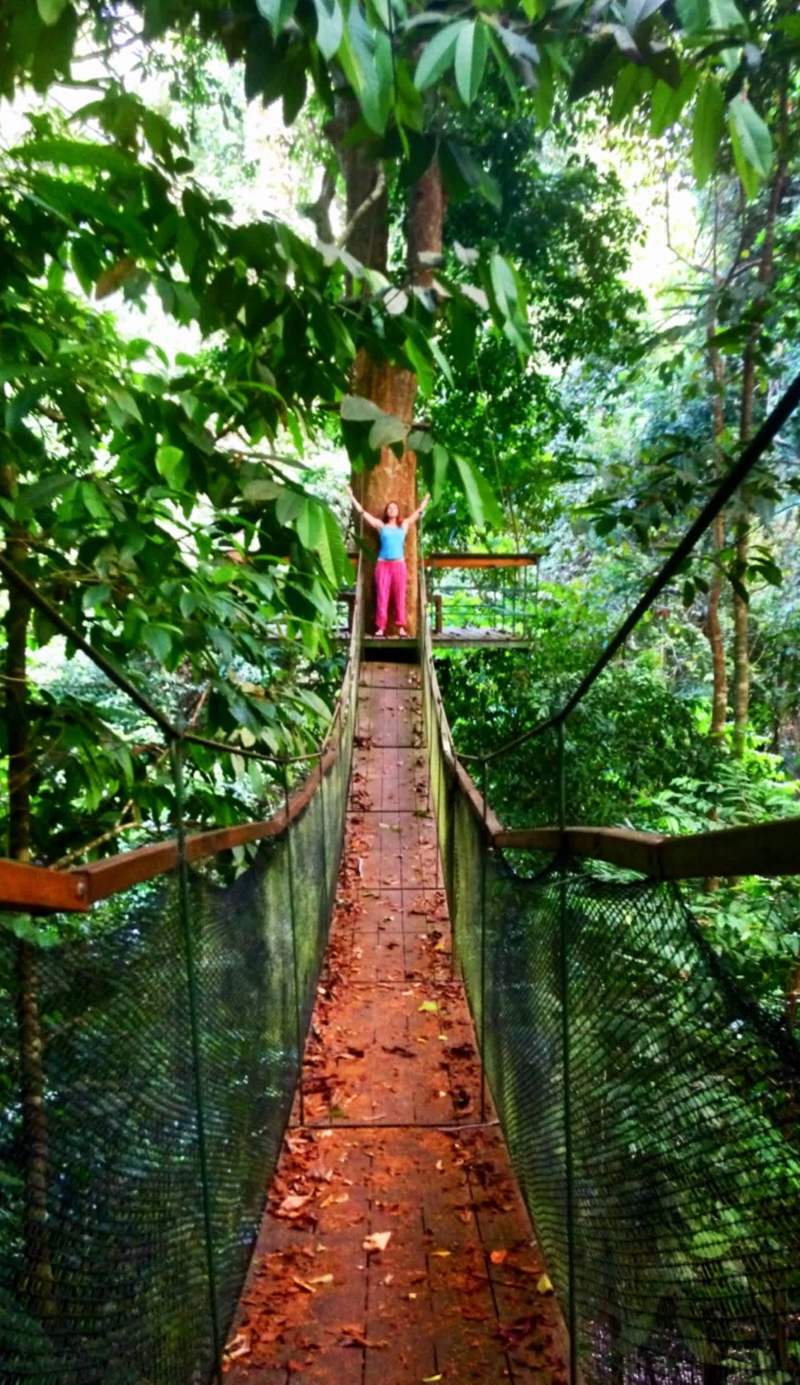 Corcovado Jungle Hostel