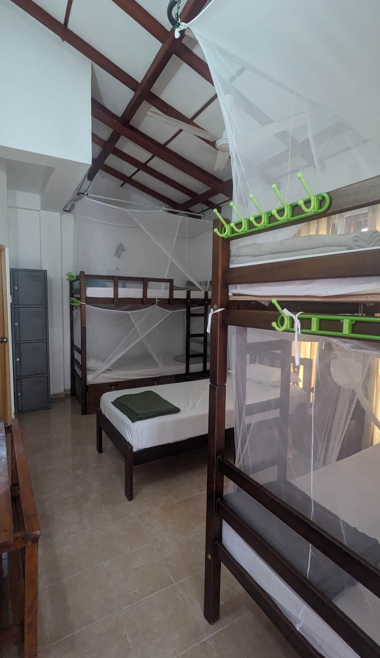 Avocado Hostel
