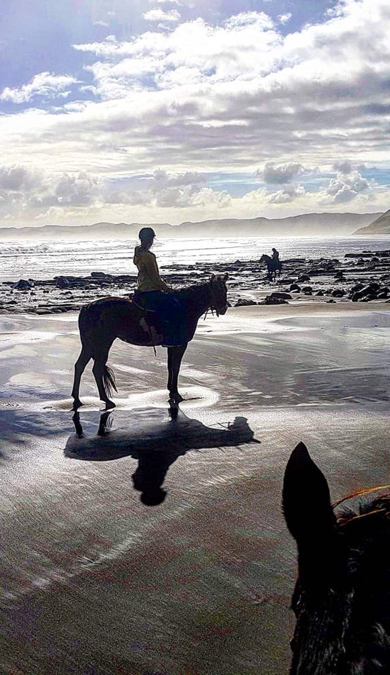 Raglan Backpackers and Waterfront Lodge