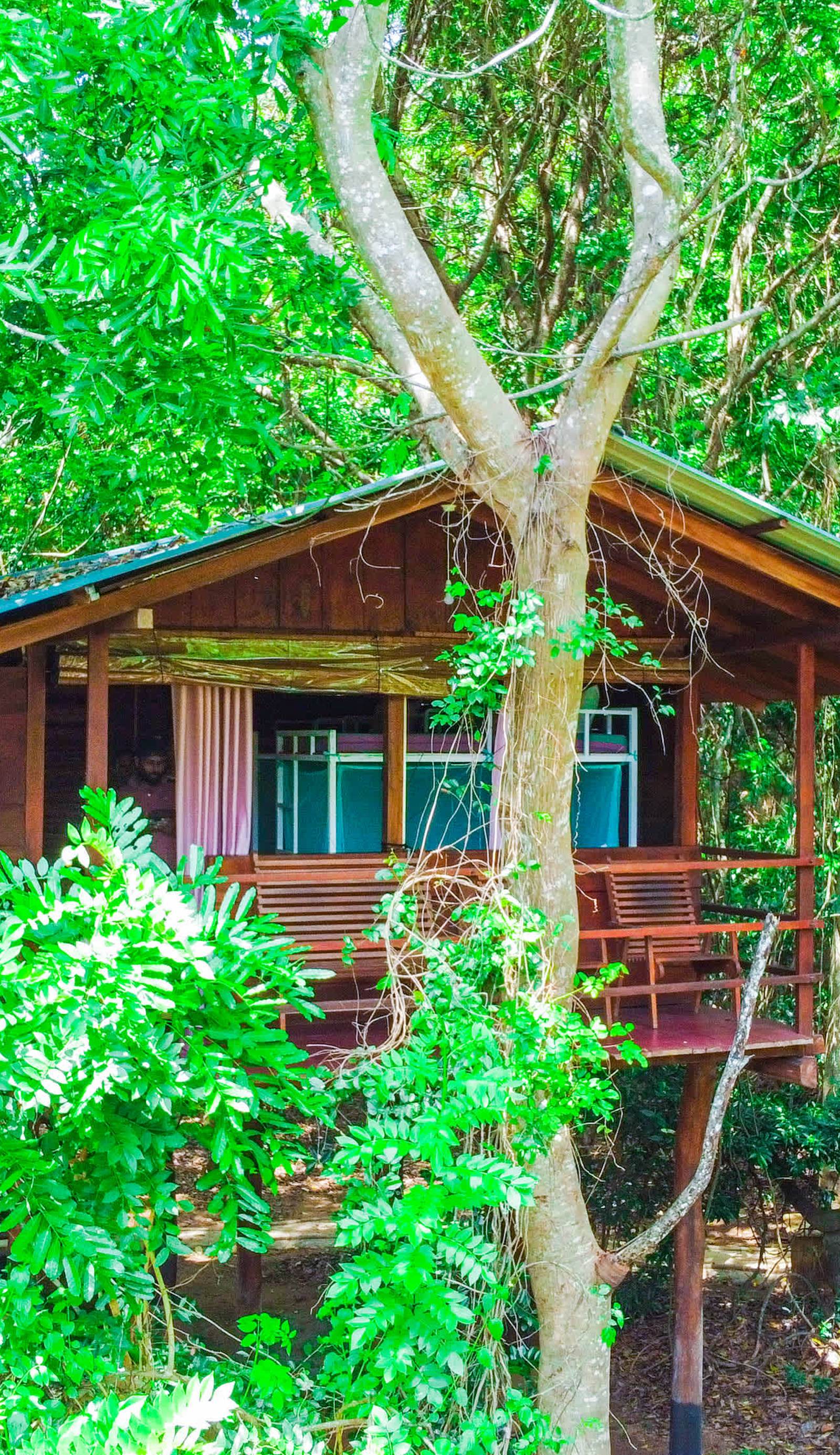 Jungle Host Hostel