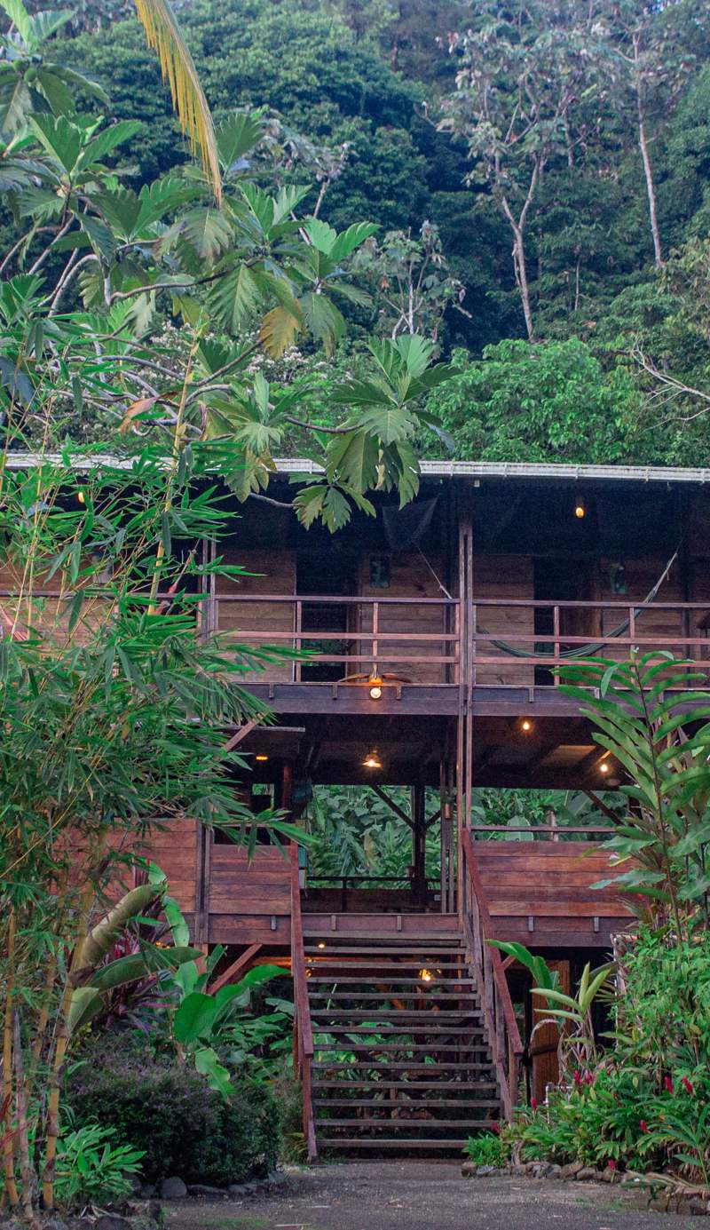 The Pelican House
