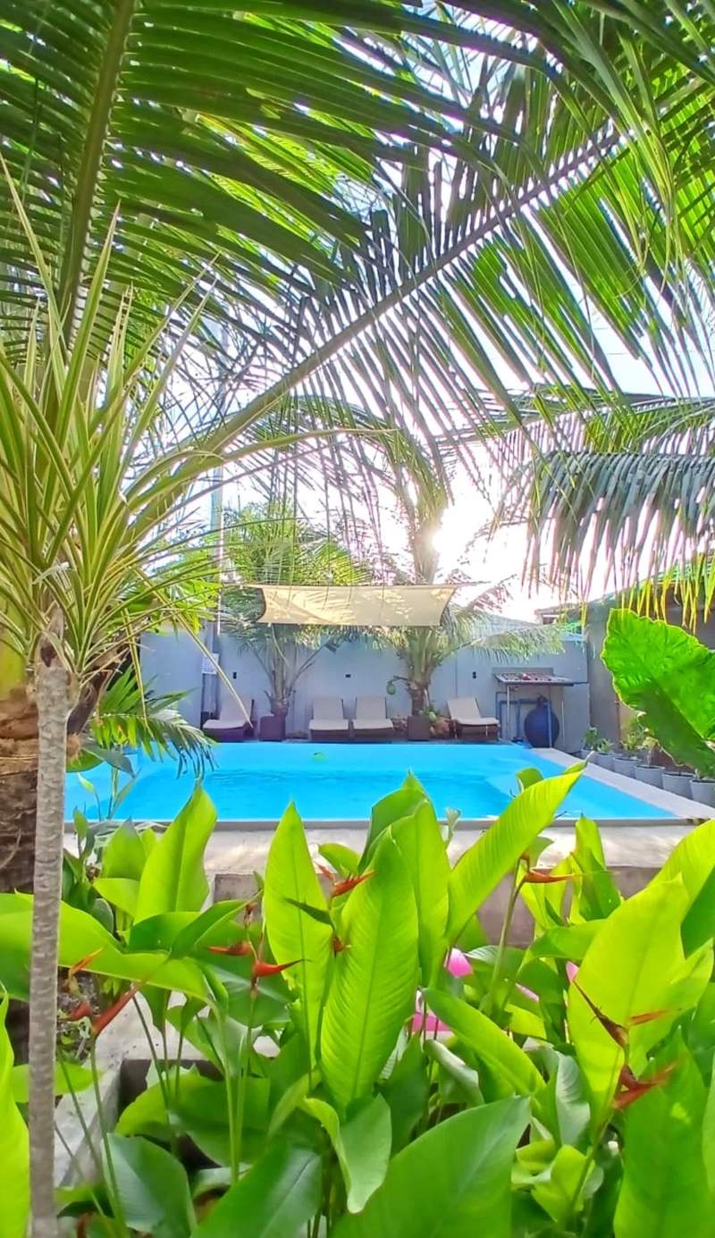 Ananas Guesthouse Moalboal