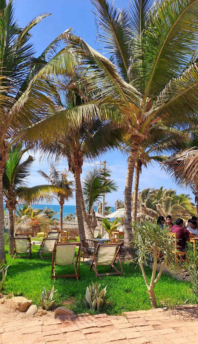 Marcilia Beach Bungalows