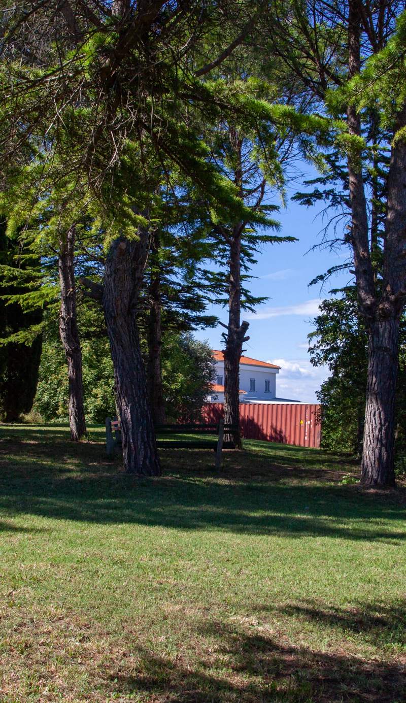 Hostel Trobenta in Oblak
