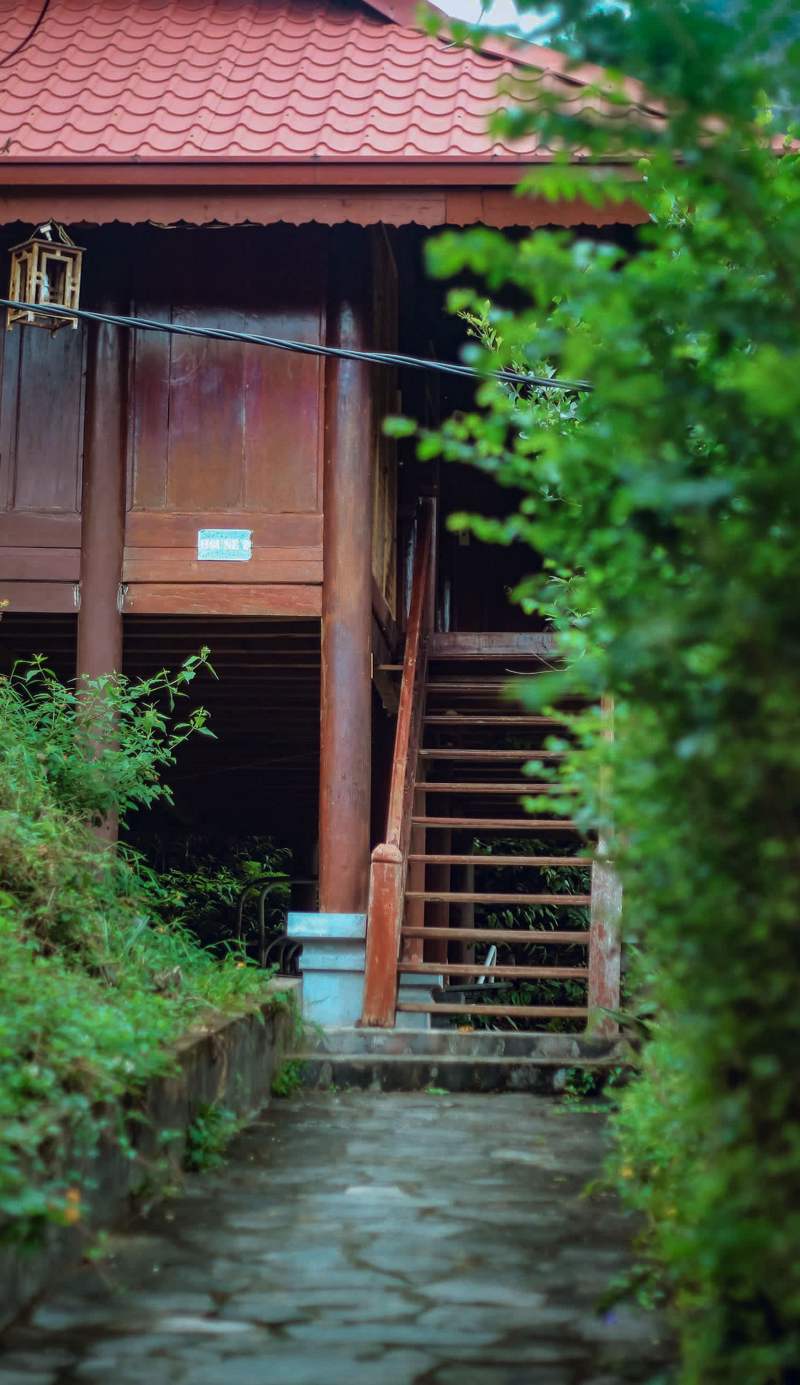 Ecolodge Cat Ba
