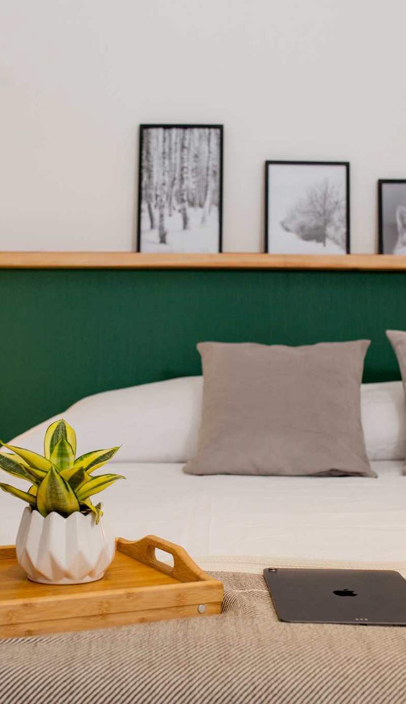 Turek Bahia Suites