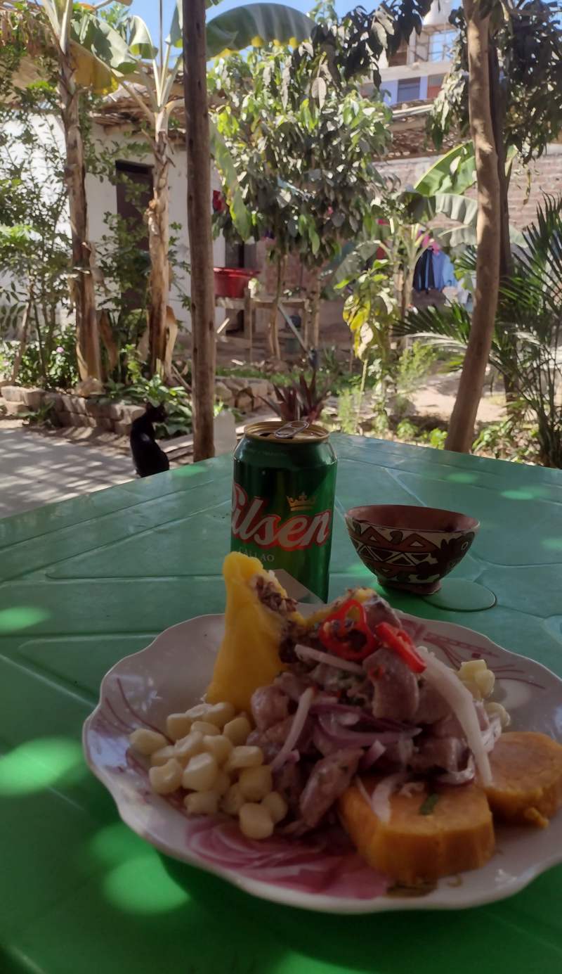 Flying Monkey Hostel