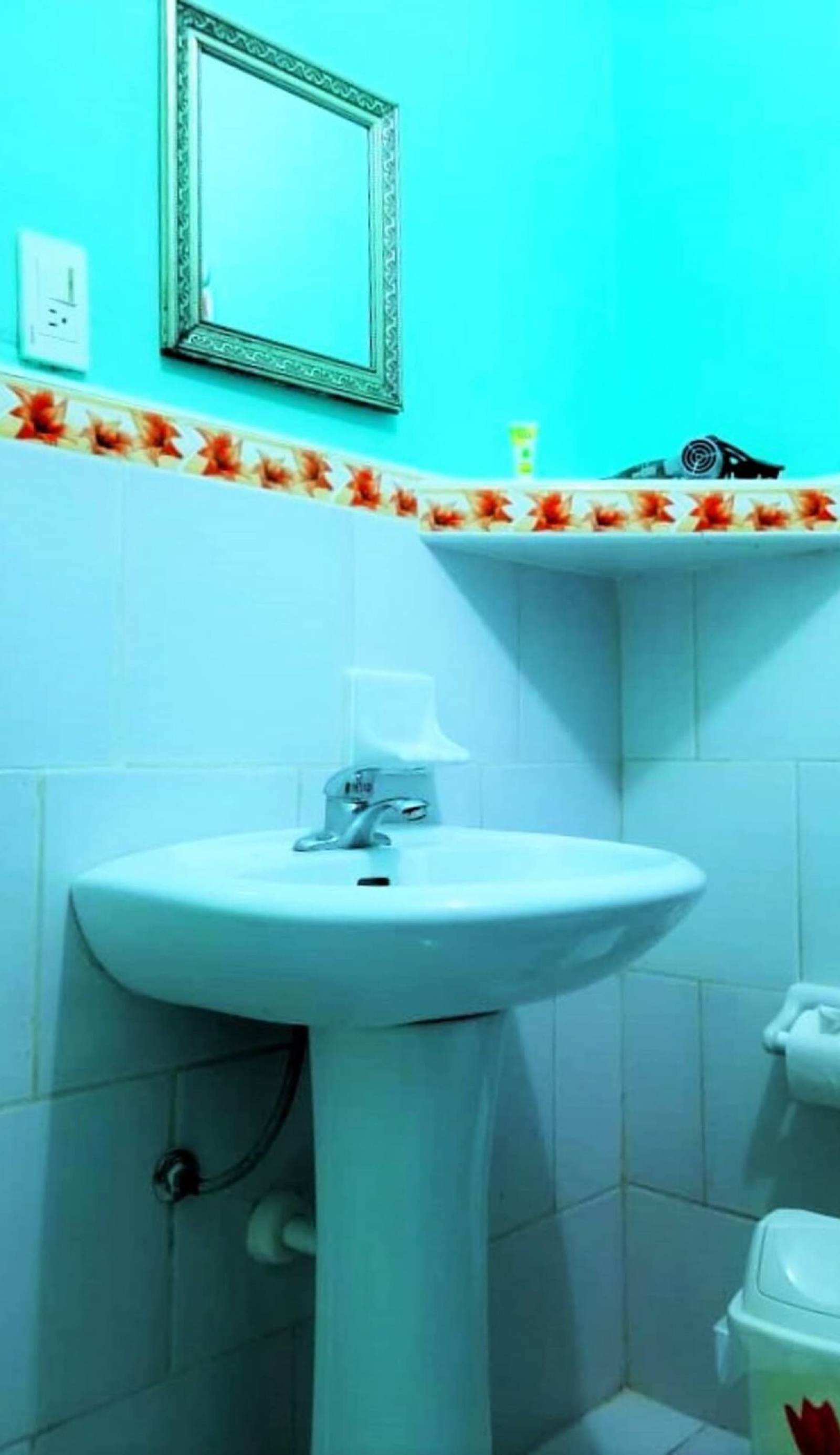 Casa Alex