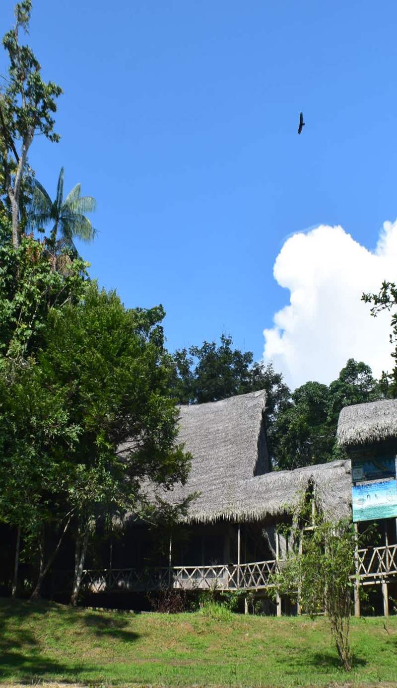 Jungle Wolf Expeditions Lodge & Tours Iquitos