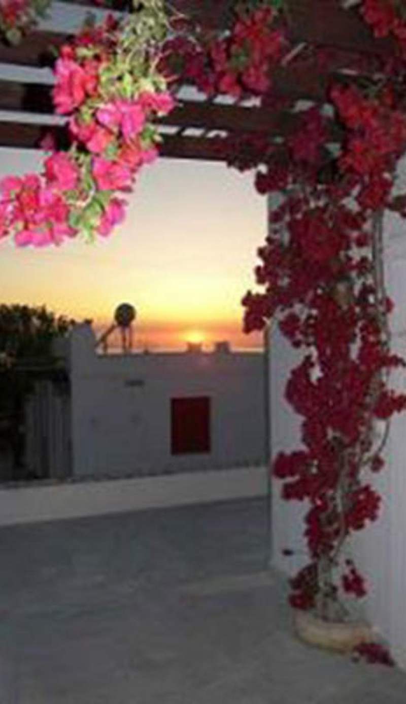 Villa Vasilis